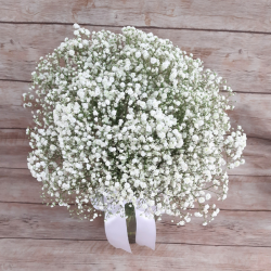 Arranjo de Mosquitinho (Gypsophila) no Vaso de Vidro 